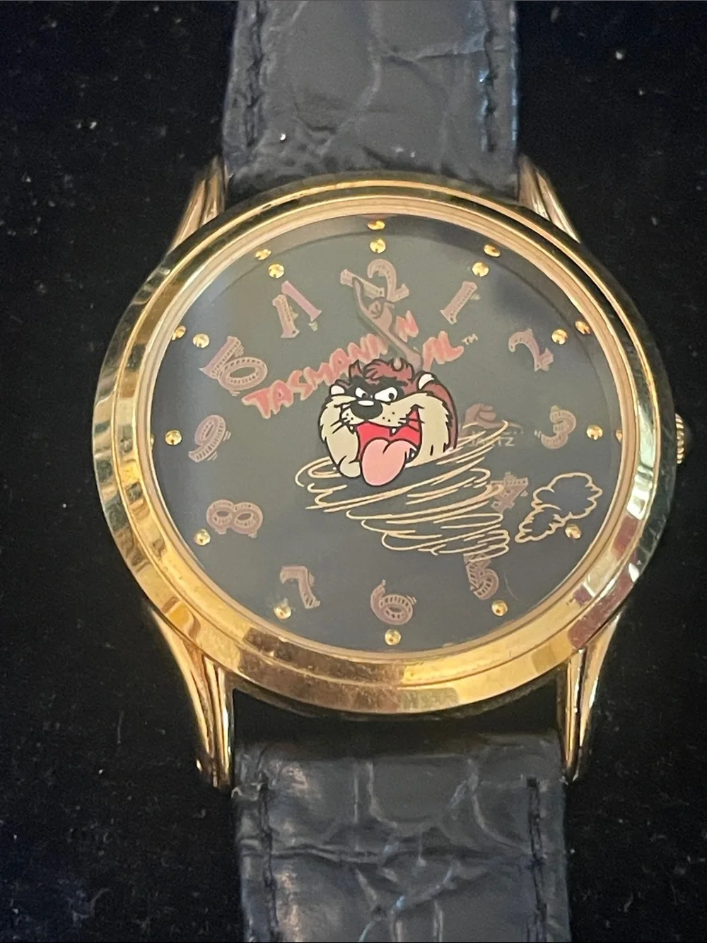 Tasmanian Devil Watch “Cyclone”.  Working